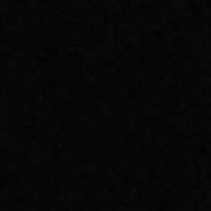 Meet your Posher, Shelly